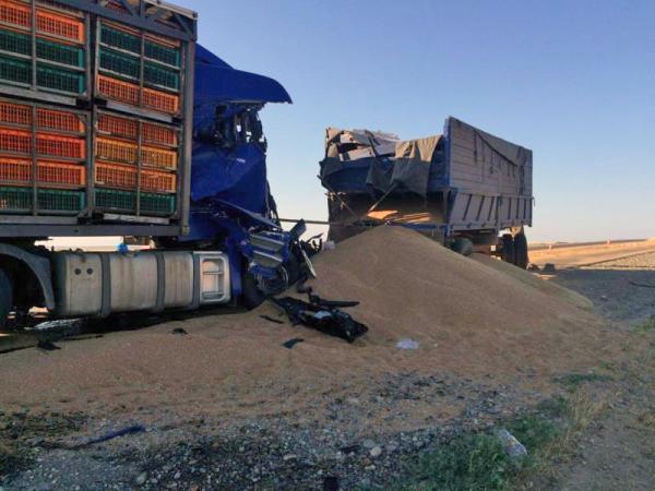 На Ставрополье в аварии с двумя фурами погиб мужчина